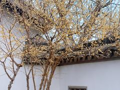 -无锡梅园公园