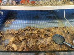 -星伦多自助料理·涮烤一体(杭州来福士店)