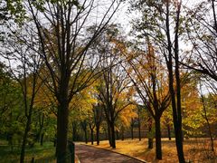 -国家植物园南园