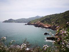-枸杞岛