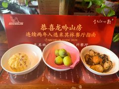 -龙吟山房(青龙山庄店)