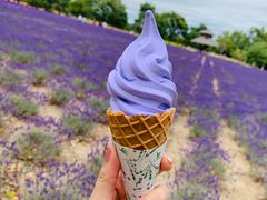 -富田农场