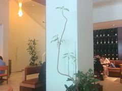 -凤凰汇购物中心