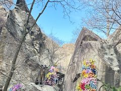 -秦岭终南山世界地质公园翠华山景区