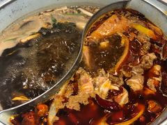 -青瓷火锅料理(西单大悦城店)