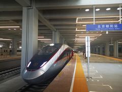 -宝瑞门钉肉饼店