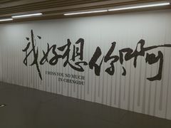 -成都失恋馆