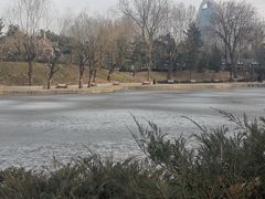 -团结湖公园