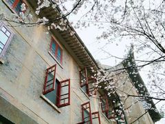 -武汉大学-樱园