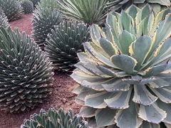 -南通洲际绿博园