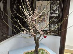 -无锡梅园公园