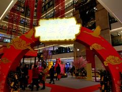 2018狮王争霸-梅龙镇广场