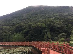 -广州市石门国家森林公园