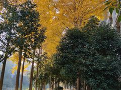 -杭州师范大学(下沙校区)