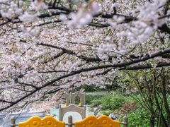 -杭州少年儿童公园