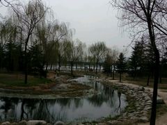 -咸阳湖景区-古渡公园