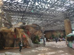 -杭州开元森泊度假乐园