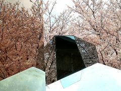 -龙美术馆(西岸馆)