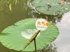 -洛阳市隋唐城遗址植物园
