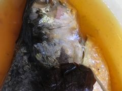 清蒸鲥鱼-沪碟·精菜坊(闵行店)