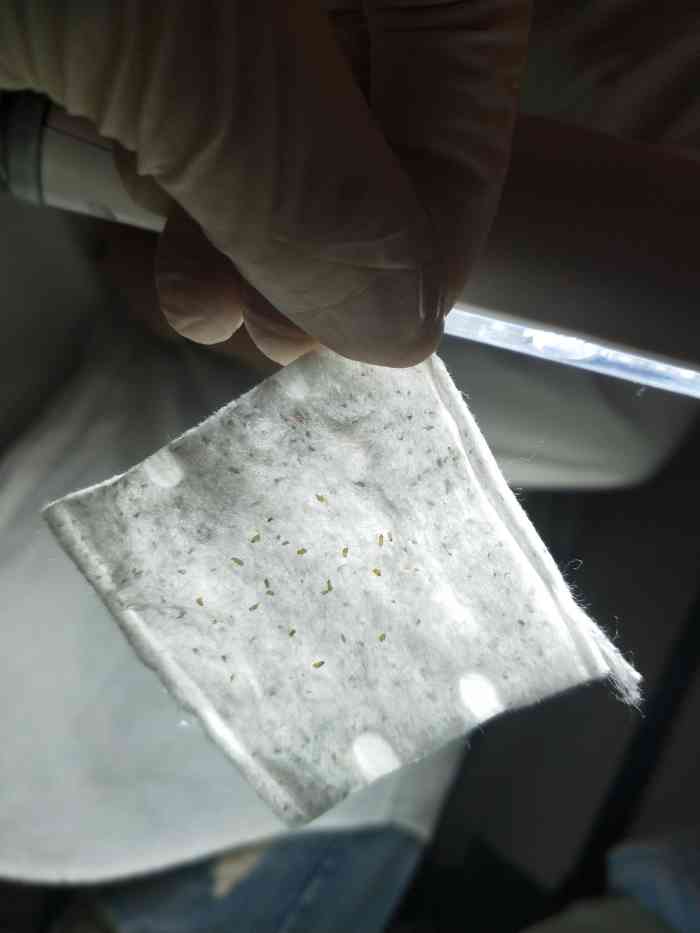 打分 服务态度很好,人也不多,做的是针清,祛痘过后感觉舒服多了.