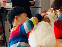 -平行世界·猫咖(首经贸店)