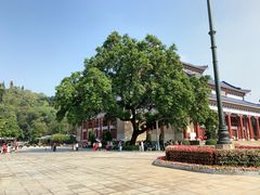 -广州中山纪念堂