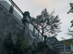 -老幺泉水鸡