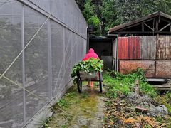 -洪湖家庭农场·团建·露营·会议