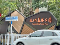 -风云岭森林公园
