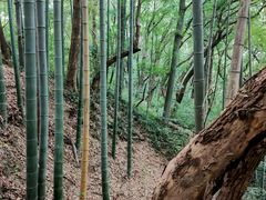 -杭州黄龙洞
