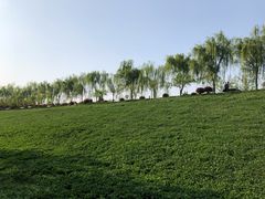 -洨河生态公园