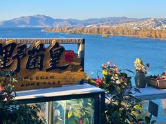 -野菌皇海景野生菌火锅(滨海大道店)