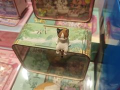 -猫的天空之城概念书店(大学路店)
