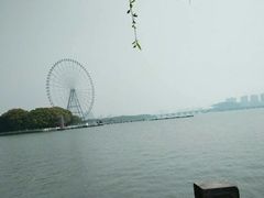 -无锡蠡湖国家湿地公园-蠡园