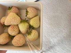-水裹汤泉生活馆餐厅