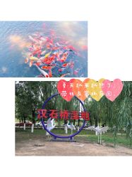 -汉石桥湿地童趣乐园