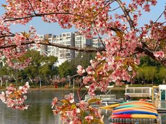 -新江湾城公园