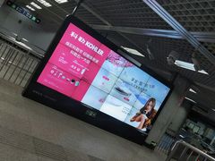 -大望路(地铁站)