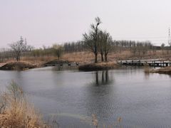 -马家湾湿地公园