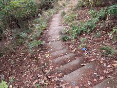 -青龙山国家森林公园