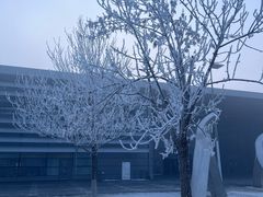 -华晨宝马铁西工厂