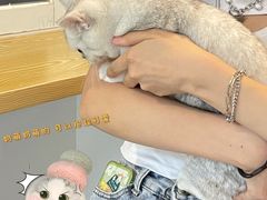 -Heymao猫咖.咖啡厅(东门店)