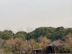 -日出青木·杭帮菜名店