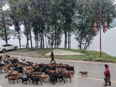 -雷波马湖风景区