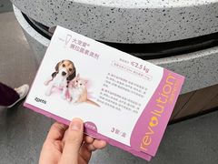 -半岛宠物医院24小时(科华中路店)