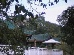 -桂湖森林公园