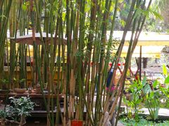 景观位-新竹里馆·花园餐厅(兴苑路店)