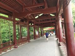 -重庆彩云湖湿地公园