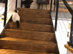 -俏湘私房菜(国贸店)
